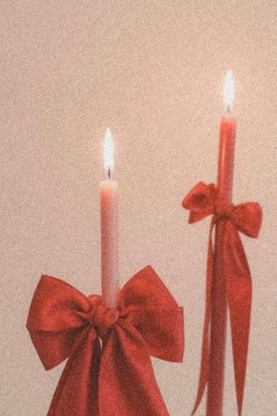 fox+wit boxed Spring 2026